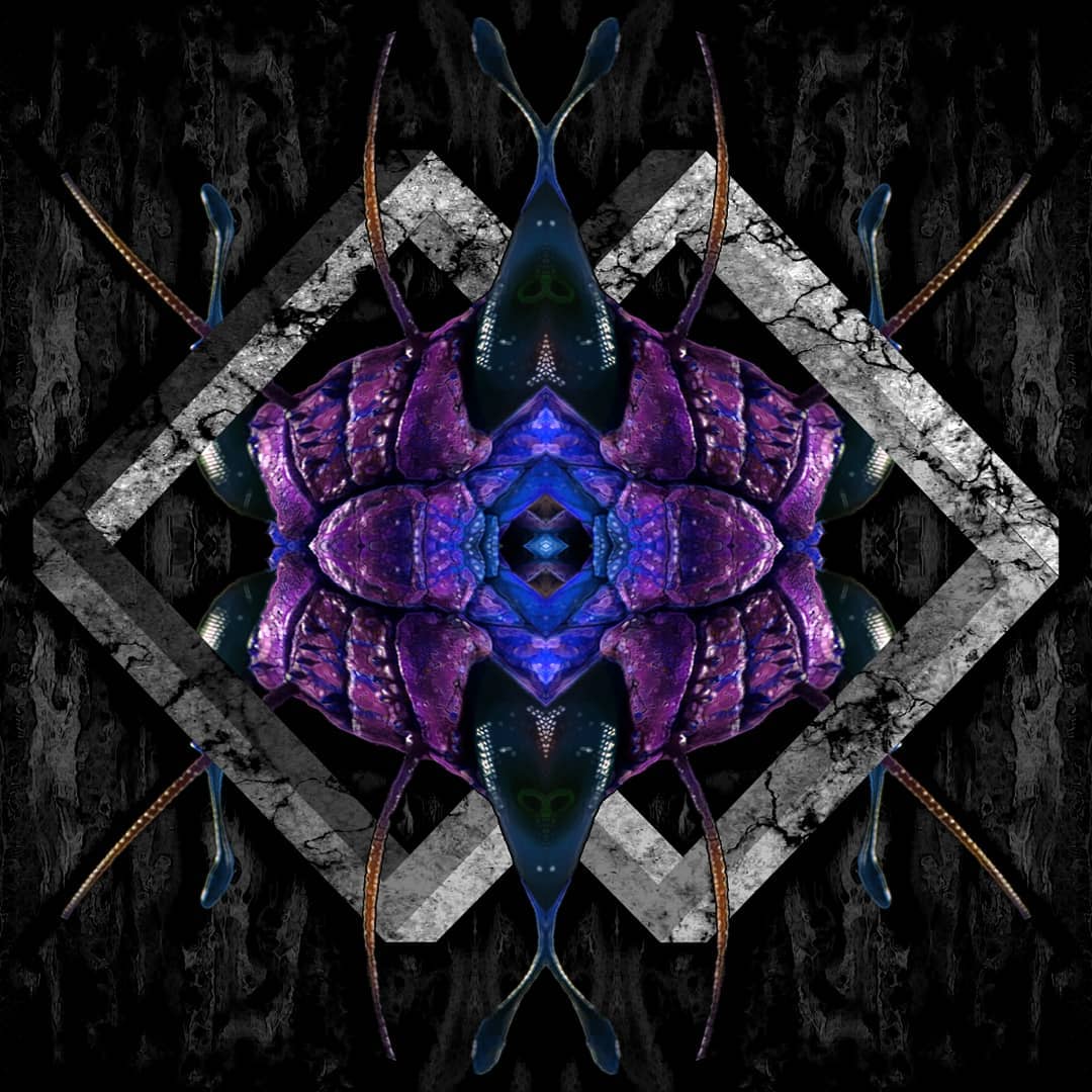 Ebullition cover