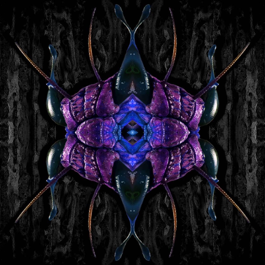 Ebullition alternate cover
